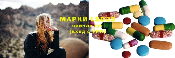 крисы Абаза