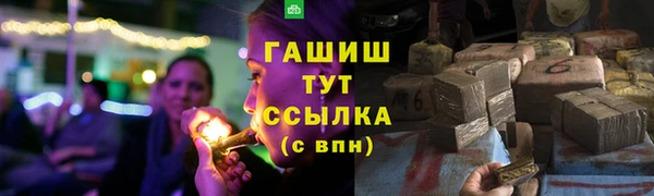 крисы Абаза